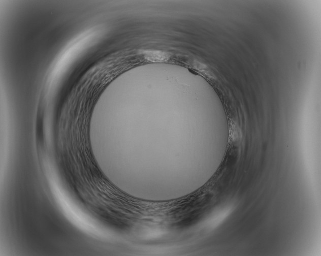 X0000086280431200704122050