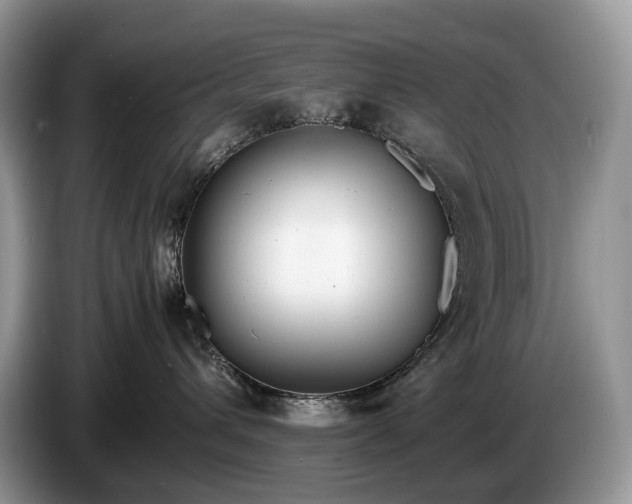 X0000086280432200704122050