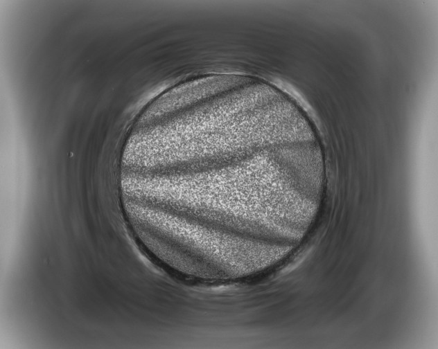 X0000086280433200704122050