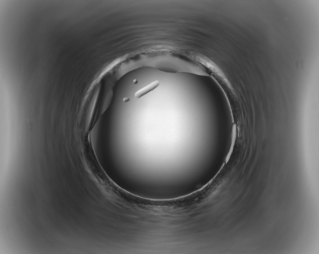 X0000086280436200704122050