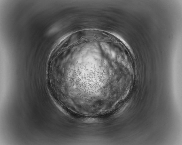 X0000086280437200704122050