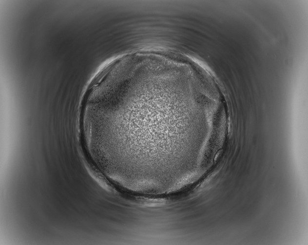 X0000086280438200704122050