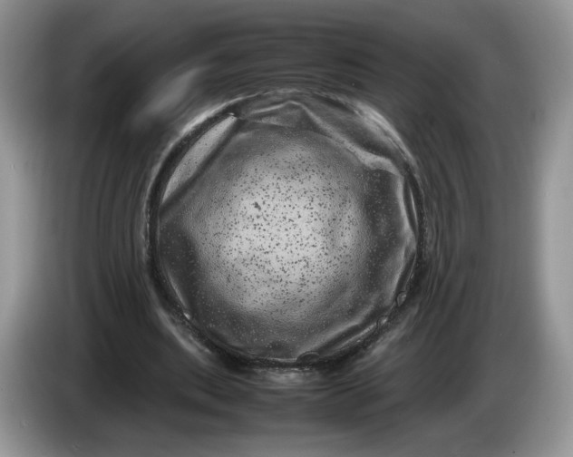 X0000086280439200704122050