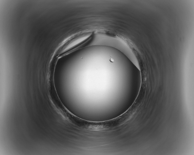 X0000086280440200704122050