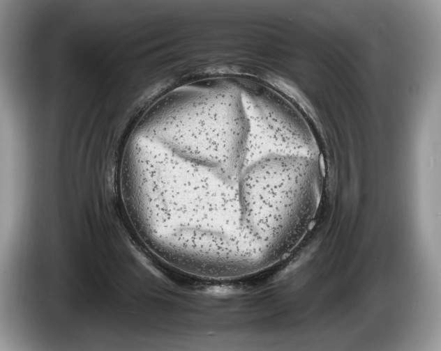 X0000086280441200704122050