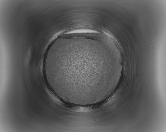 X0000086280442200704122050