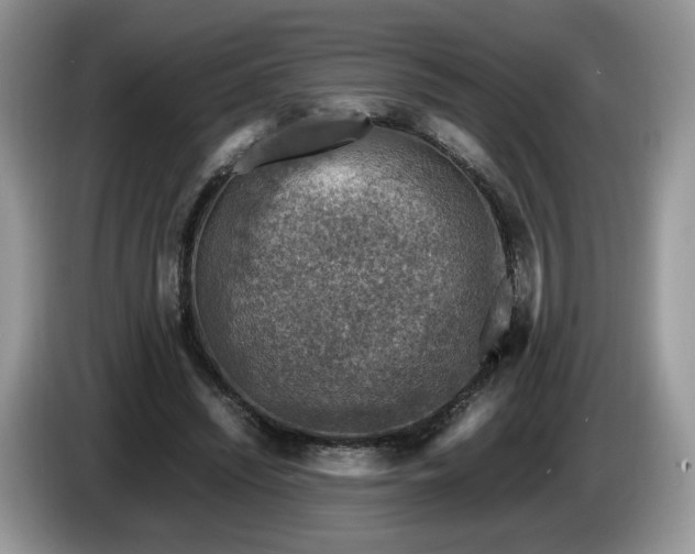 X0000086280444200704122050