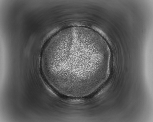 X0000086280445200704122050