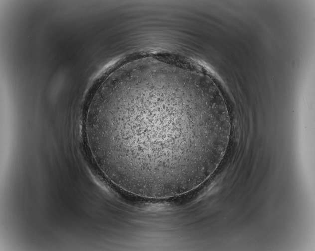 X0000086280446200704122050