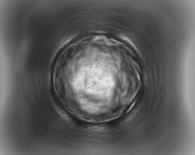 X0000086280447200704122050