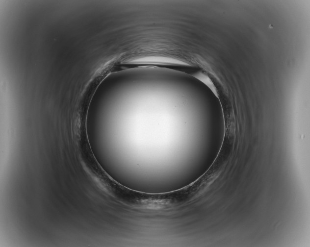 X0000086280448200704122050