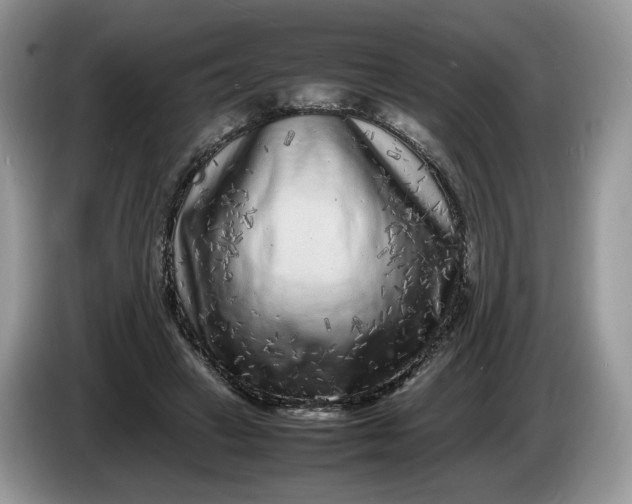 X0000086280449200704122050