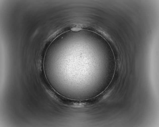 X0000086280450200704122050