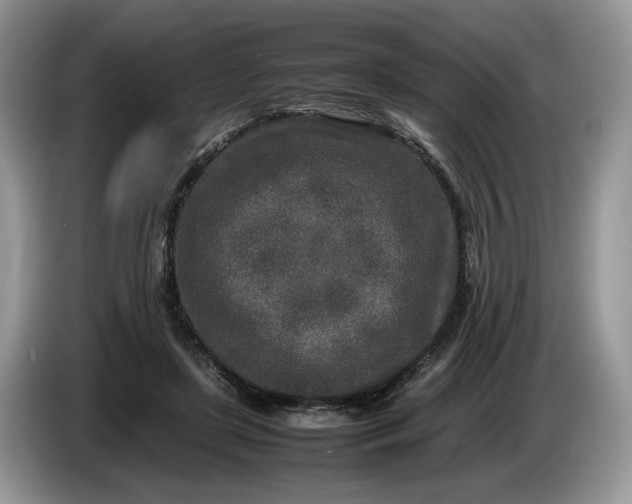 X0000086280451200704122050