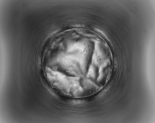 X0000086280453200704122050