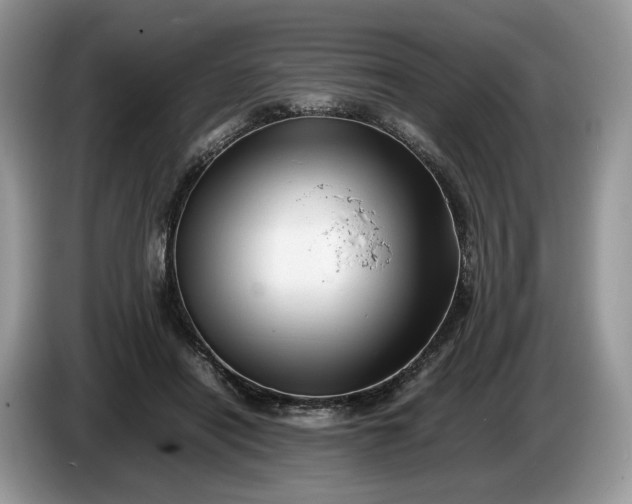 X0000086280454200704122050