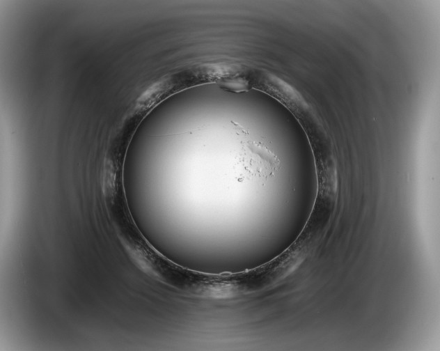 X0000086280456200704122050