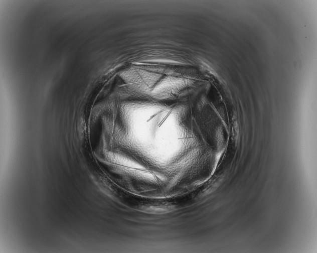 X0000086280459200704122050