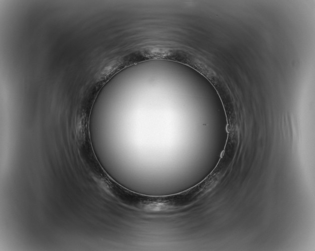 X0000086280460200704122050