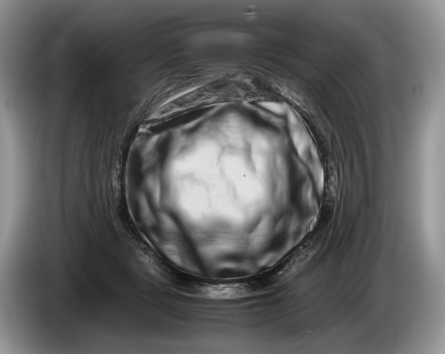 X0000086280461200704122050