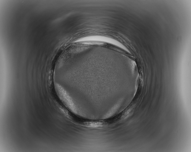 X0000086280462200704122050