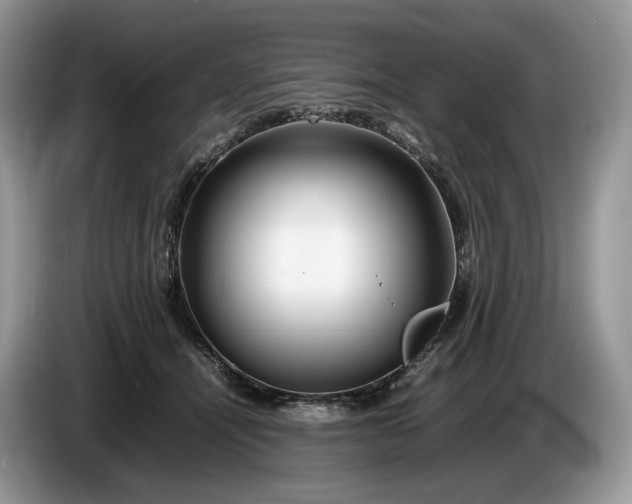 X0000086280464200704122050