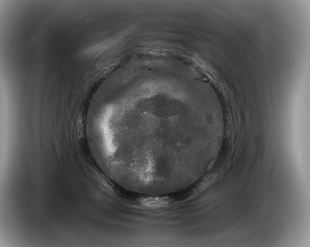 X0000086280465200704122050