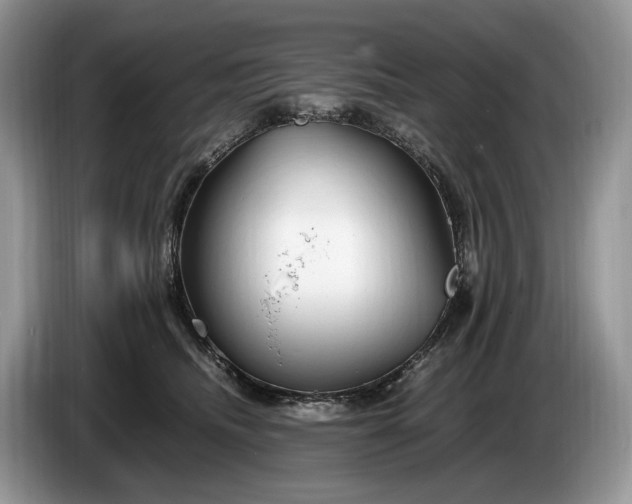 X0000086280468200704122050