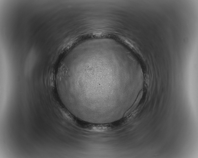 X0000086280470200704122050