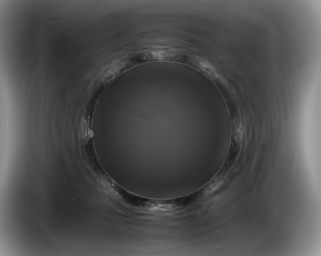 X0000086280471200704122050