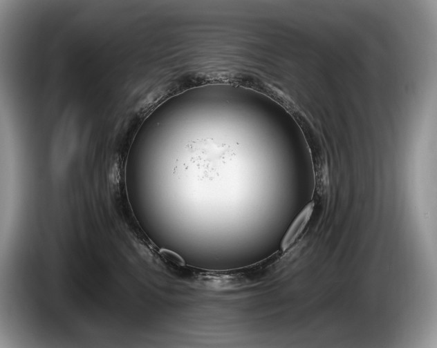 X0000086280472200704122050