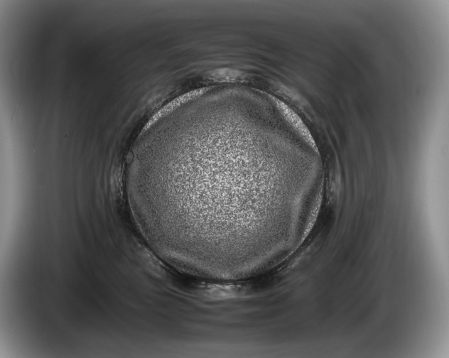 X0000086280473200704122050