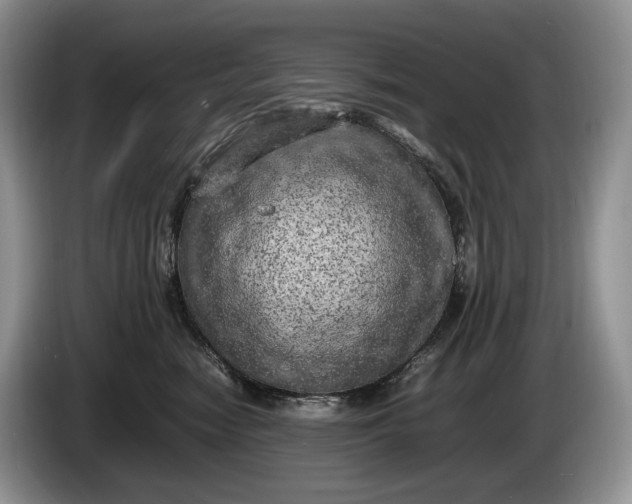 X0000086280474200704122050