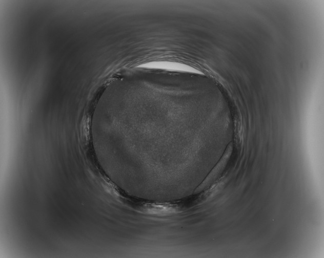 X0000086280475200704122050