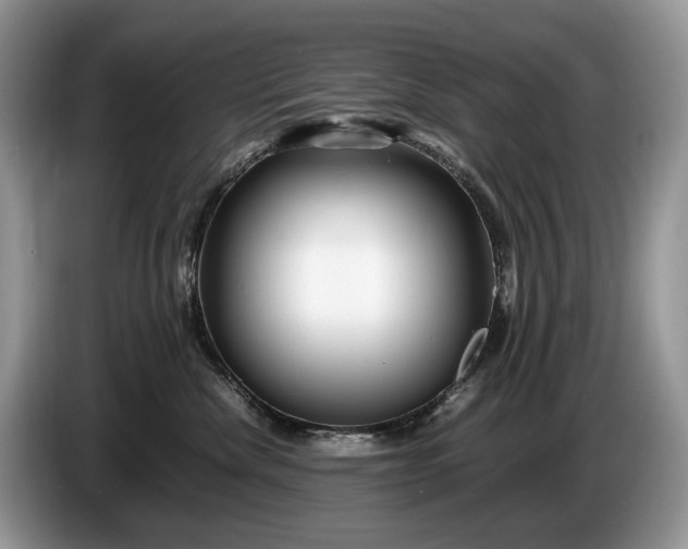 X0000086280476200704122050