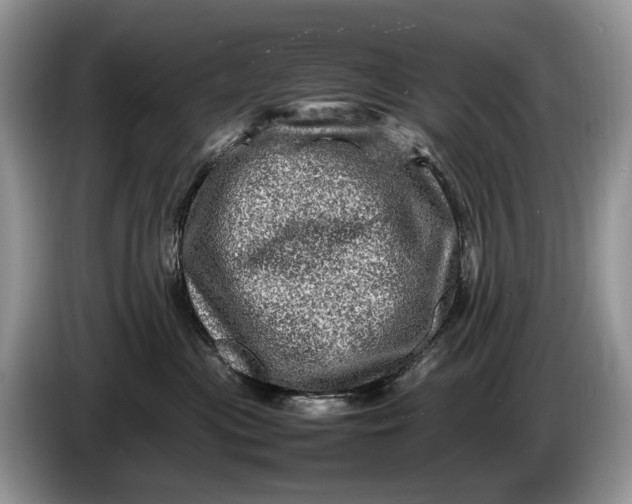 X0000086280477200704122050