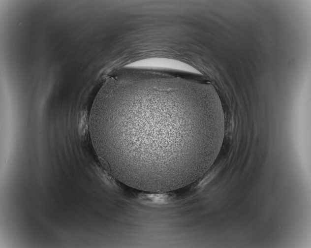 X0000086280478200704122050