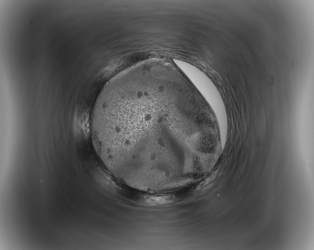 X0000086280479200704122050