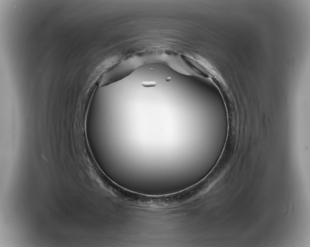 X0000086280481200704122050