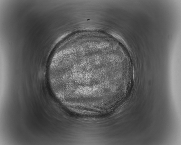 X0000086280483200704122050