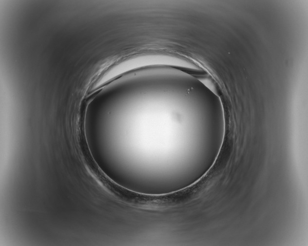 X0000086280485200704122050