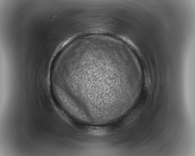 X0000086280486200704122050