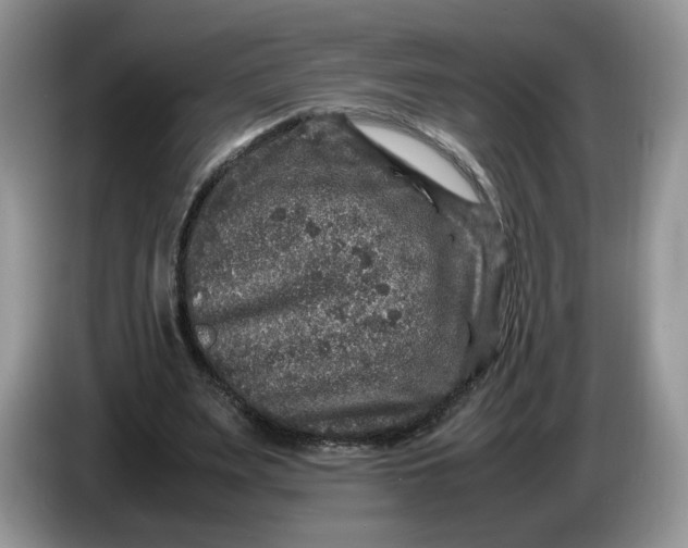 X0000086280487200704122050