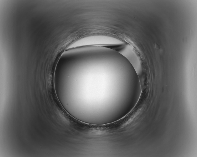 X0000086280489200704122050