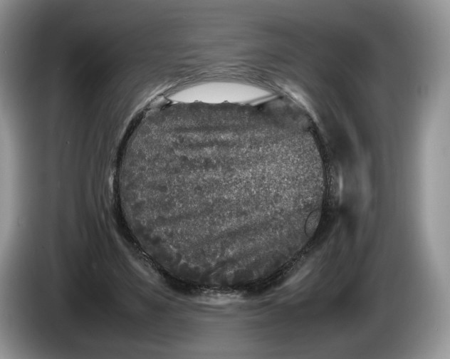 X0000086280491200704122050