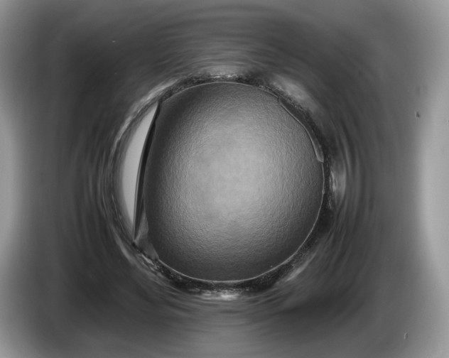 X0000086280492200704122050