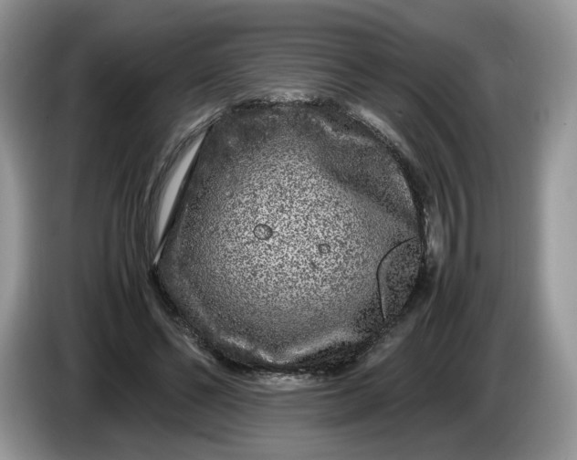 X0000086280494200704122050