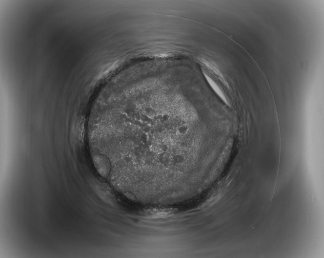 X0000086280495200704122050