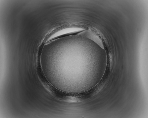 X0000086280496200704122050