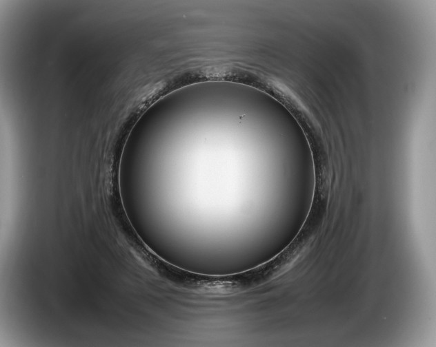 X0000086280497200704122050